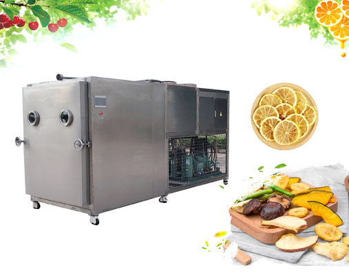中国 根Vegetables Freeze Dryer Machine Bizter Compressor 10m2 100kg SUS304 サプライヤー