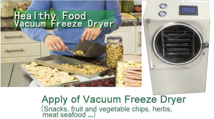 0.6sqm 6-8kgの安い食品加工の小さいココナッツ パイナップルは脱水機の小型凍結乾燥器機械を欠く